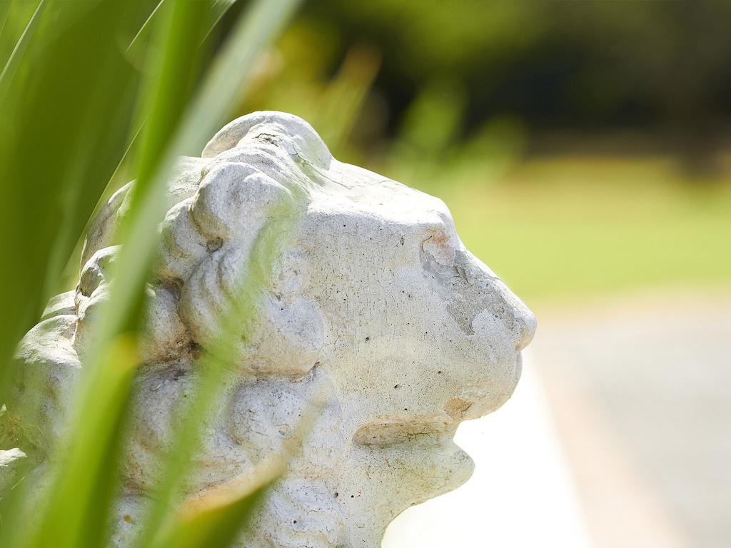 ホテル Parkes Manor クニスナ エクステリア 写真